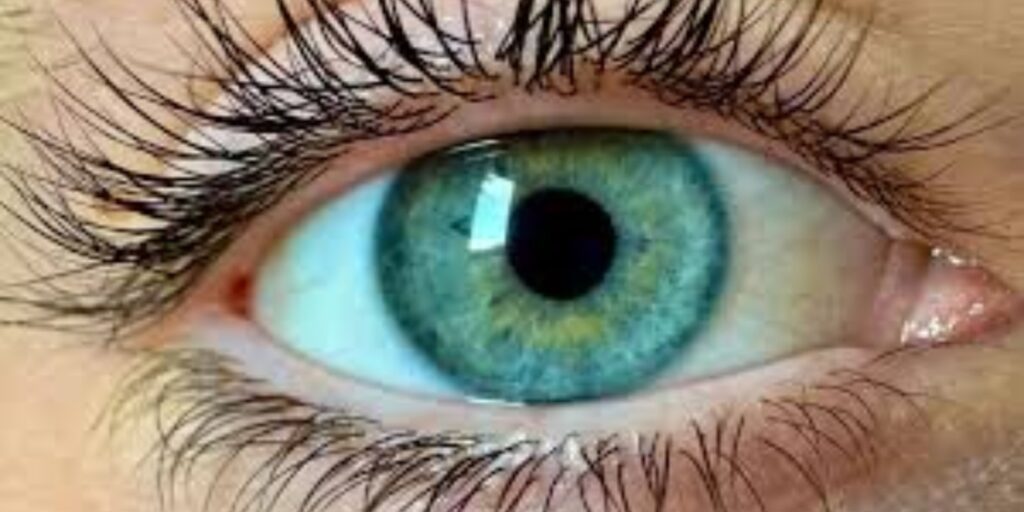 Scientists discover never seen before color, Researchers claim new color found