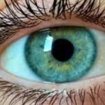 Scientists discover never seen before color, Researchers claim new color found